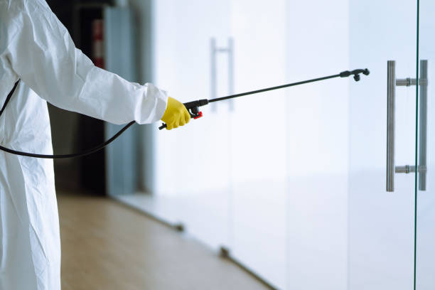 Attic Mold Removal in Federal Way, WA